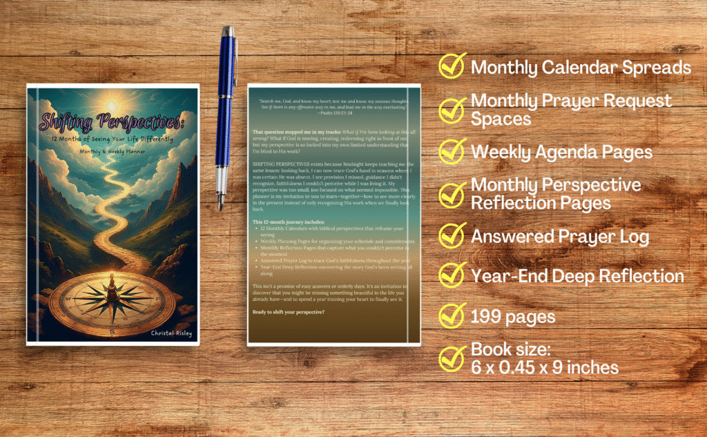 Shifting Perspectives KDP Mockup